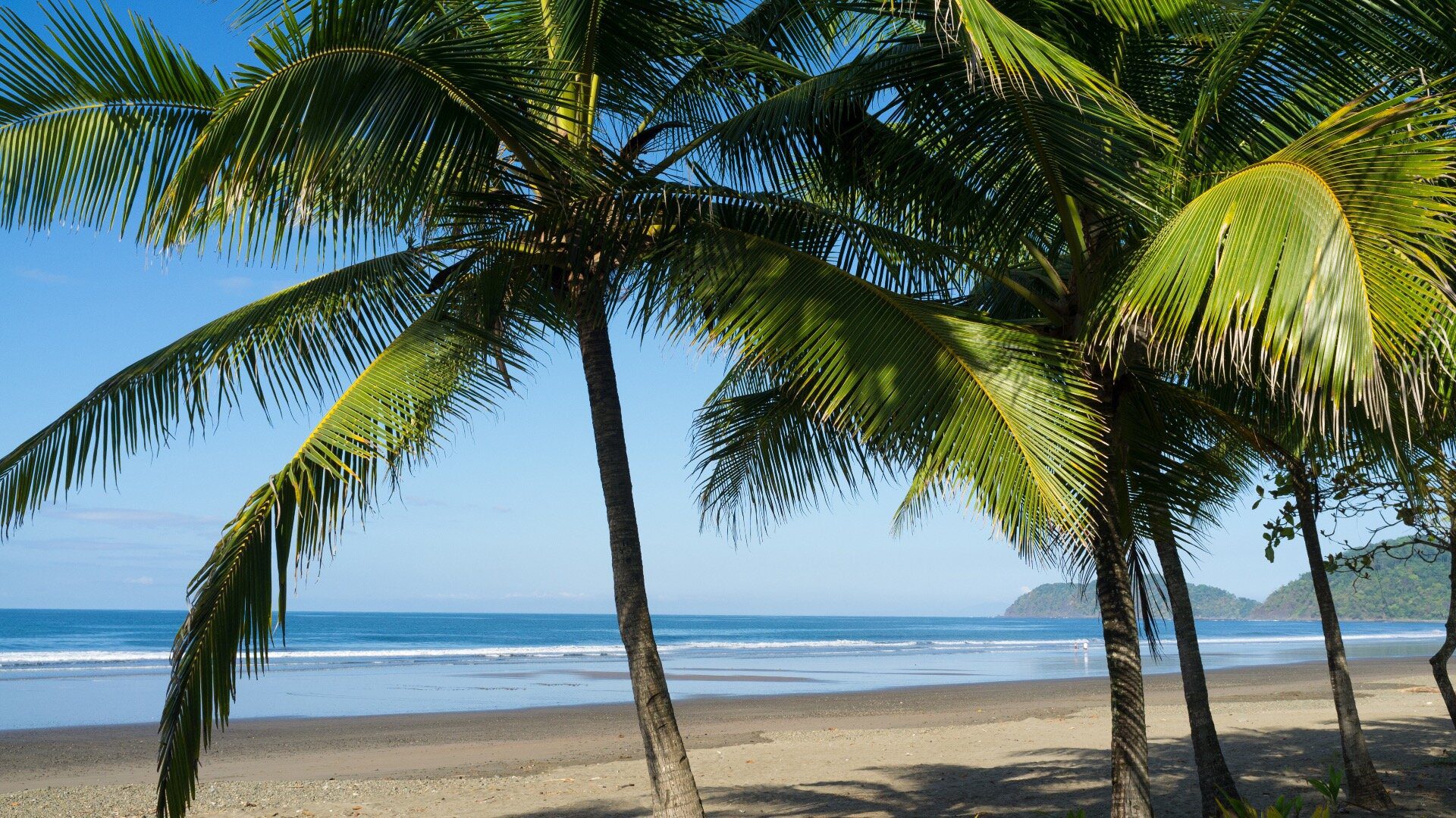 Playa Jaco