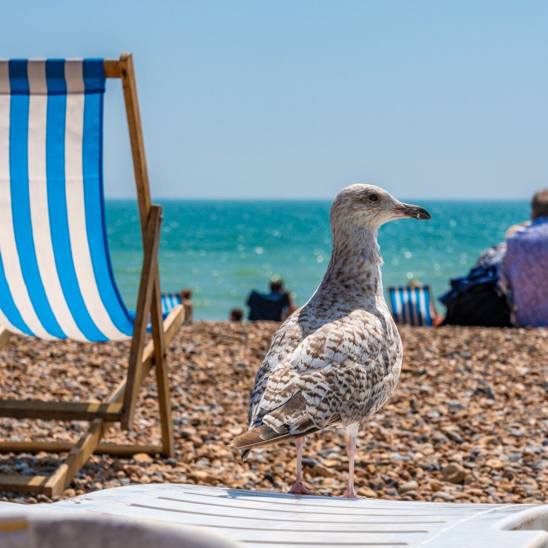 Séjour Linguistique Royaumes-Unis Ville Brighton