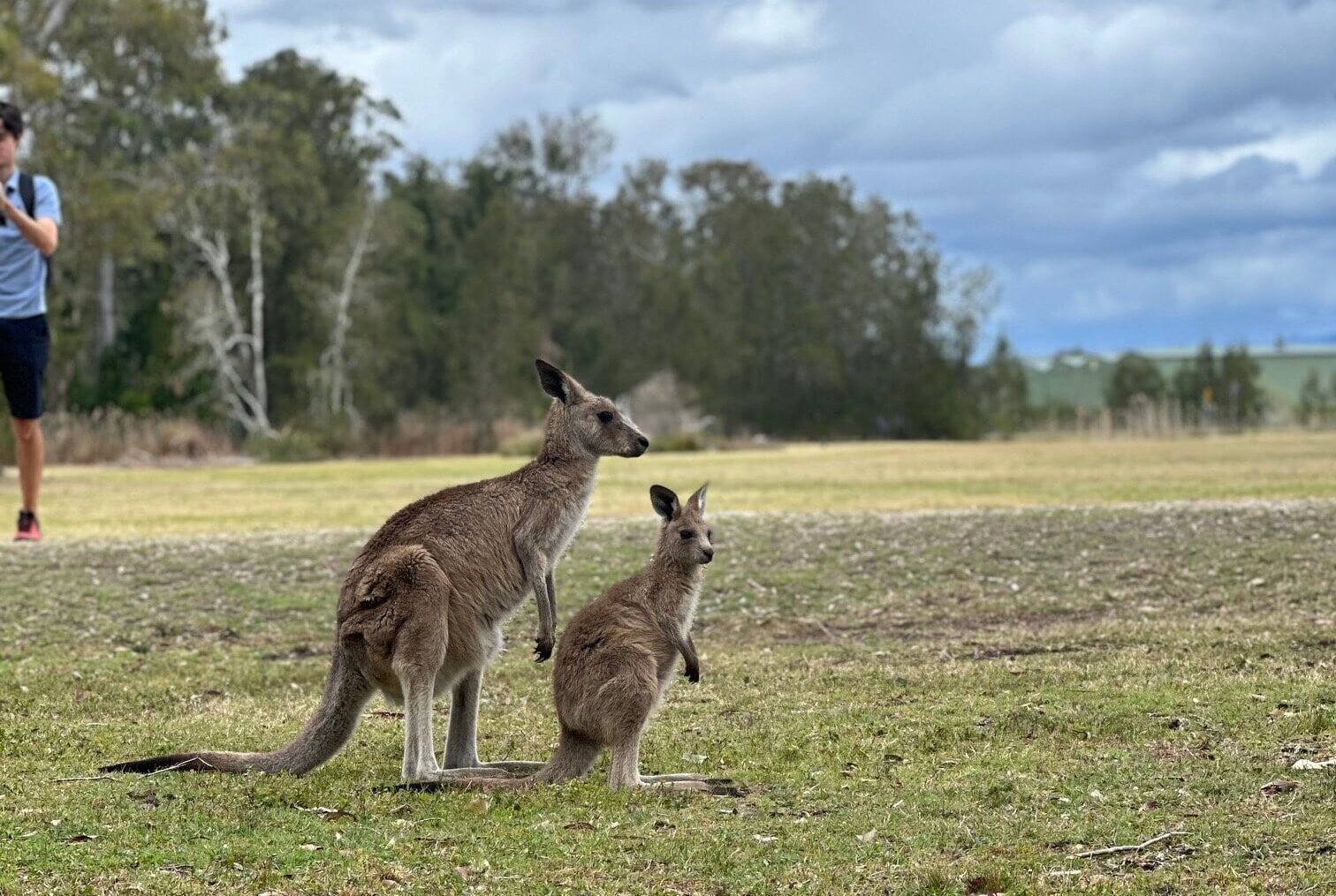 Séjour linguistique Australie ville Sydney